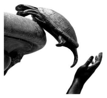 airport_travel_assistance