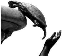 airport_travel_assistance